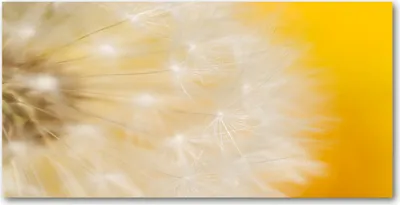 Produktbild von Tulup Glas-Bild -140x70- Wandkunst Dekorative Wand für Küche & Wohnzimmer - Blumen & Pflanzen - Pusteblume - Gelb