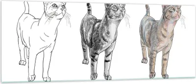 Produktbild von Bilder auf glas - Katzen Tiere Kinder Illustration - 140x50cm - Glasbilder - Wandbilder - Kunstdruck - zum Aufhängen bereit - Wanddekoration aus Glas - Glas Bilder - Wandbild auf Glas - GAB140x50-3211