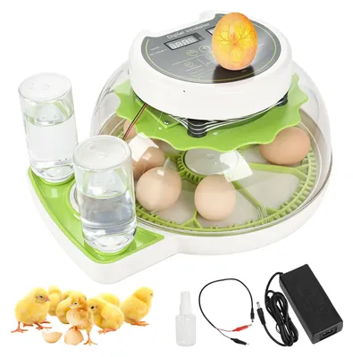Produktbild von Brutkasten für 8 Eier, automatische Wendung, Feuchtigkeitsanzeige, Temperaturregelung, für Geflügel