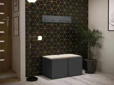 Obrázek produktu pro Nábytek do chodby s čalouněnými panely 42x42 SELAND 7 - grafit / světlý béžový