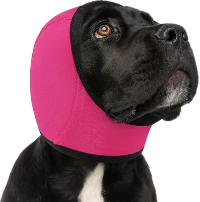 Immagine prodotto di INF Copertura Impermeabile Estiva per Cani - Protezione Orecchie e Relax Rosso L