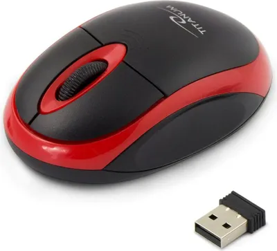 A wireless computer mouse and its USB receiver are shown on a white background.