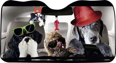 Produktbild von OKCars Frontscheibensonnenschutz Hund
