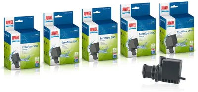 Image de Pumpe Eccoflow 300