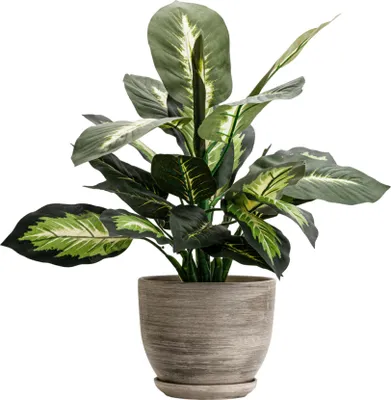 Obrázok produktu pre Keramický kvetináč okrúhly s podšálkou tmavosivý 19 cm lesklý s drenážnym otvorom