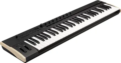 Immagine prodotto di Korg Keystage 61