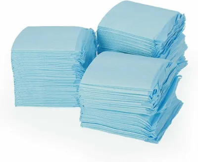 Immagine prodotto di Tappetini assorbenti per cuccioli, confezione da 100, elevata capacità assorbente, blu