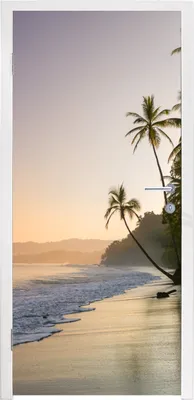Produktbild von MuchoWow® Türtapete Selbstklebende Türfolie Strand - Meer - Palme 90x215 cm Türposter Türaufkleber Klebefolie Türklebefolie - Plakat an der Tür - Türsticker - Aufklebern