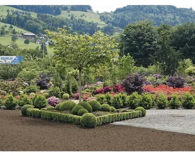 Obrázek produktu pro Geotextilie FloraSelf 15 x 1 m šedá