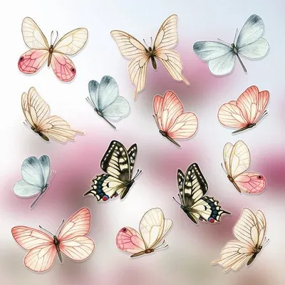 Produktbild von Selbstklebende Schmetterling Fenstersticker - Schöne Aquarell Schmetterling Fenstersticker, doppelseitig zum Vogelgeschrei schützen - Fenstersticker für Glasfenster und Fenster