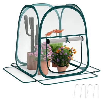 Produktbild von Mini Gewächshaus für draußen - Faltbares Pop Up Treibhaus - Wasserdichte Kunststoffabdeckung - Winddicht - Tür mit Rollverschluss - 70x70x80 cm - Weiß
