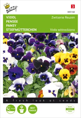 Produktbild von Stiefmütterchen Schweizer Riesen Mischung | Stiefmütterchensamen von Buzzy Seeds