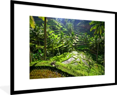 Produktbild von MuchoWow® Gerahmtes Poster Spektakuläre Reisfelder nördlich von Ubud 90x60 cm - Poster mit Schwarzem Bilderrahmen Wandposter Rahmen Foto Bilder - Wanddekoration - Fotos