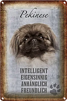 Produktbild von Blechschild Spruch 20x30cm Pekinese Hund