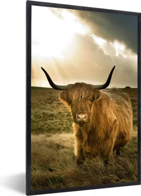 Produktbild von MuchoWow® Gerahmtes Poster Schottischer Hochländer - Sonne - Tiere 40x60 cm - Poster mit Schwarzem Bilderrahmen Wandposter Rahmen Foto Bilder - Papierdruck - Wandbilder