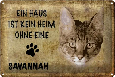 Produktbild von Blechschild Spruch 18x12cm Savannah Katze ohne kein Heim
