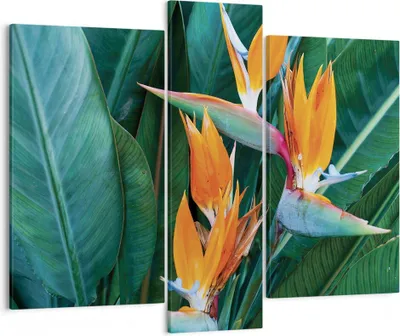 Produktbild von Bild auf Leinwand - Leinwandbild - 3 Teile - Himmlisch Vogel Blume - 95x80cm - Wand Bild - Wanddeko - Wandbilder - Leinwanddruck - Bilder - Wanddekoration - Leinwand bilder - Wandbild - CB95x80-4980