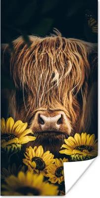 Produktbild von MuchoWow® Poster Schottische Highlander - Blumen - Kuh - Botanisch - Tiere 20x40 cm - Plakat - Foto
