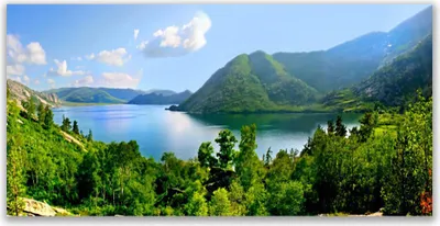 Produktbild von Glasbilder 140x70 Wandbild Druck auf Glas Wald See Gebirge Landschaft