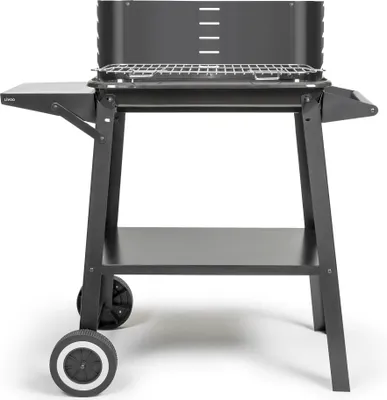 Image de Barbecue à charbon 48.5 x 28.8cm - Livoo - DOC328 -