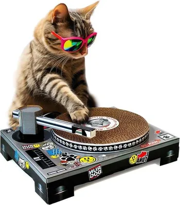 Produktbild von Krallspielzeug für Katzen, Plattenspieler & Mischpult
