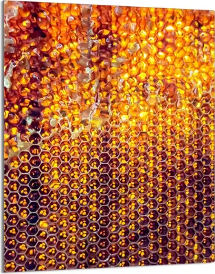 Produktbild von Herdabdeckplatte 40x52 Glaskeramikkochfeld Abdeckung Spritzschutz Glasplatte Deko Schneidebrett, Schwarz Orange