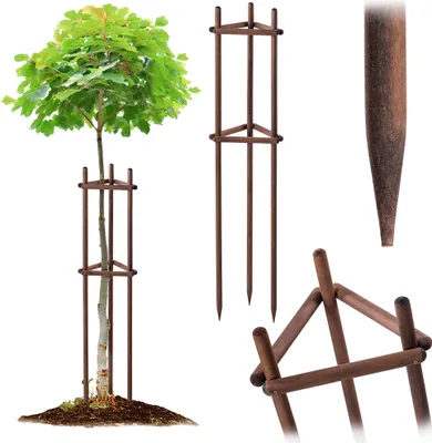 Immagine prodotto di KADAX Sostegno per alberi da 150 cm in legno robusto, paletto per il fissaggio sicuro di alberi giovani e arbusti, sostegno a tre gambe in legno di faggio per il giardino (marrone)