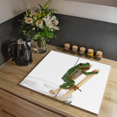 Zdjęcie produktu dla Dwuczęściowa osłona kuchenki Banjado, każda o wymiarach 30 x 52 cm, z gumowymi podkładkami dystansowymi, szkło bezpieczne ESG z motywem żaby pogodowej [HAP2 10516]