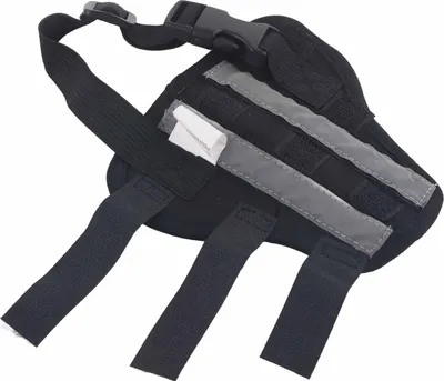 Image de Attelle pour jambe de chien, Arrière, Droite, Taille XXS, Stable, Pour Chirurgie, Arthrose, Récupération, Noir
