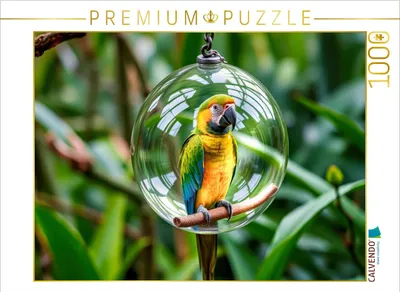 Produktbild von CALVENDO Puzzle Mit unserem Papagei wird’s bunt. | 1000 Teile Lege-Größe 64x48cm Foto-Puzzle für glückliche Stunden