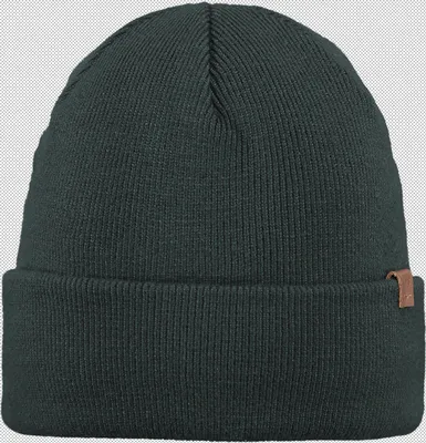 Produktbild von Barts Willes Beanie dark celadon onesize