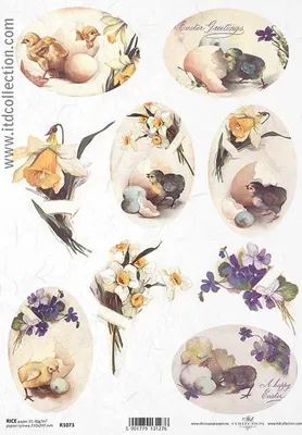 Produktbild von ITD Reispapier Decoupage Bastelpapier Softpapier Serviettentechnik, Hühner R1073
