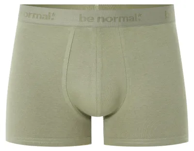 Produktbild von Celio Baumwollboxershorts Binormal L