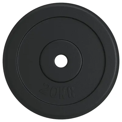 Produktbild von vidaXL Hantelscheibe 20 kg Gusseisen