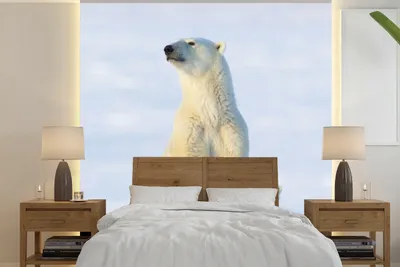 Produktbild von MuchoWow® Fototapete für Wohnzimmer oder Schlafzimmer Wandtapete Vinyl Motivtapete Eisbär - Schnee - Jungtiere - 260x260 cm - Papiertapeten