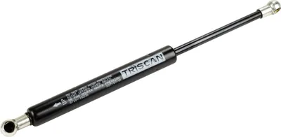 Produktbild von Gasfeder für Heckklappe (1 Stück) 46428438