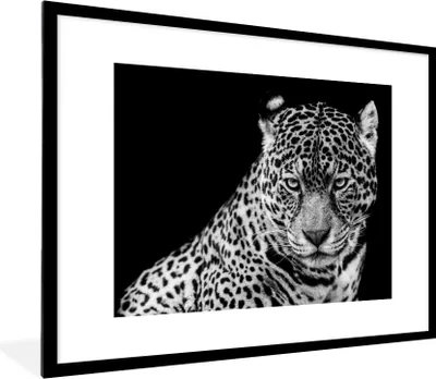 Produktbild von MuchoWow® Gerahmtes Poster Leopard - Tiere - Schwarz - Weiß - Porträt 80x60 cm - Poster mit Schwarzem Bilderrahmen Wandposter Rahmen Foto Bilder - Schlafzimmer-Dekorationen - Fotoposter