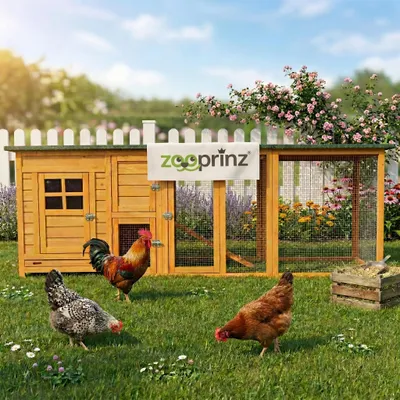 Produktbild von zooprinz Hühnerstall Flexi | mit extra Auslauf | XXL | Wetterfest | Massivholz | 215x70x65cm (BxHxT)