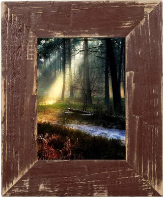 A framed image of a forest scene with sunbeams.