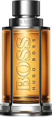Produktbild von Hugo Boss The Scent toaletní voda pro muže 50 ml