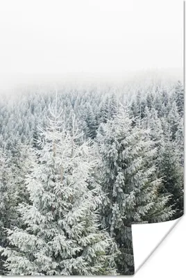 Produktbild von MuchoWow® Poster Wald - Schnee - Winter - Jahreszeiten - Tannenbaum 40x60 cm - Plakate für die Wand - Poster Babyzimmer