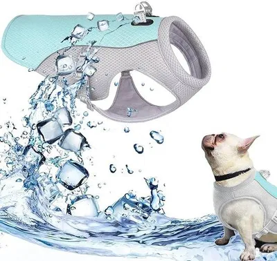Productafbeelding van Koelvest voor honden - Met verstelbare titaniumring - Ademend en lichtgewicht koelvest - Groen, maat M