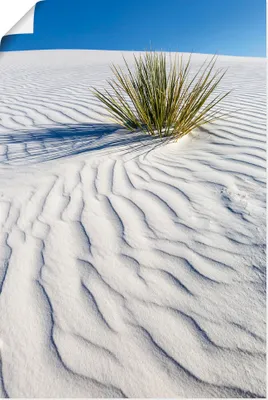 Produktbild von ARTland Poster Dünen White Sands Größe: 80x120 cm
