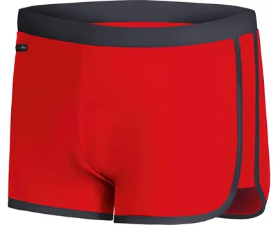 Image de Maillot de bain pour homme Ladeheid, short de bain, short de plage, short de natation LA40-169 (rouge/graphite, taille S)