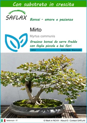 Immagine prodotto di SAFLAX  - Mirto - 30 semi - Con substrato - Myrtus