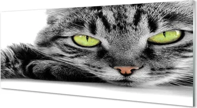 Produktbild von Glasbilder 125x50 Wandkunst Grau-schwarze Katze