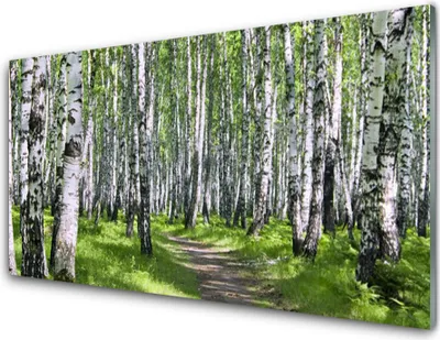 Produktbild von Acrylglasbilder 100x50 Wandbild Druck Wald Fußpfad Natur