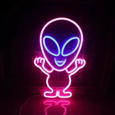 Obrázek produktu pro NEONOVÉ LED světlo, dekorativní nástěnné světlo, mimozemská marťanská růžová, cca 40 x 25 x 2 cm