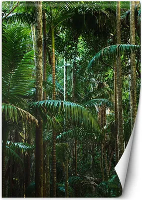 Produktbild von Vlies fototapete Tropischer Wald natur 150x210 cm Feeby Grün inkl. Kleber einfache Montage