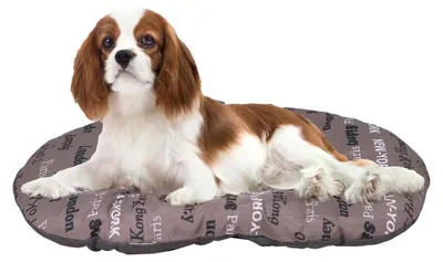 Productafbeelding van FERPLAST - Honden- en kattenmand - Kussen voor middelgrote honden - Grijs
